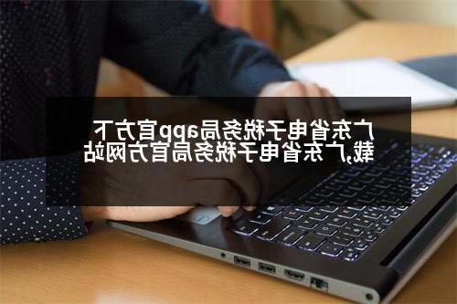 广东省电子税务局app官方下载,广东省电子税务局官方网站